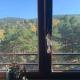 Apartman Veverko, Divčibare (fotografie 3)