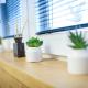 Apartmány Volavka 2, Planá nad Lužnicí (fotografie 10)