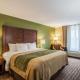 Comfort Inn & Suites Panama City North - Fotografie 8