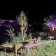 The City Escape Farmstay, Shimla - Foto 4