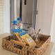 Irie Rock Cottage - Close to the Beaches and Attractions, Spa Treatment- Discovery Bay, St Ann, Дискавери-Бэй (фото 7)