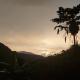 Finca Sacha Muyu, Chaguaraco (photo 10)
