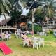 Honey Beach Negombo, Negombo