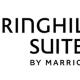 SpringHill Suites by Marriott Charlotte Arrowood - Fotografie 2
