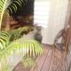 Mamamariya home Stay, コーチ - 写真 7