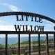 Little Willow, Gatehouse of Fleet - Fotografie 4