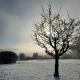 Moorland View Lodge, Baslow (fotografie 10)