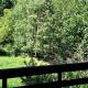 Chalet Marina, Premia (foto 8)