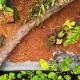 Town Inn Hotel - Rainforest, Jerantut (fotografie 7)