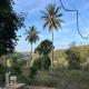Wild 4rest Homestay and huts, Ambalavayal - Fotografie 3