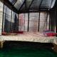 Sacred Stays Bhoomi, Prayagraj - Fotografie 8