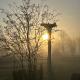 B&B De Alffarhoeve, Hamme (Foto 10)