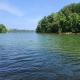 5 Cubs Lakehouse, Morristown