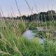 Holiday Home With Garden And Sauna In Mecklenburg, Hohen Demzin - Foto 8