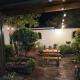 Antique Luna, Santa Ana (photo 10)