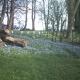 Be my guest, Hemborough Post (fotografie 2)