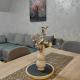 Vidra apartman, Divčibare (Foto 2)