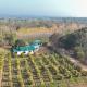 Raunaq - A Boutique Farmstay, Hoshiarpur, Gobindpur - Photo 2