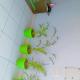 HOTEL HELIX -- RAJPURA -- Budget Rooms for Family, Couples, Solo Travellers, Rājpura - 写真 5