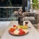 Tribeca Suites Medellin, Medellín - Fotografie 7