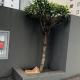 apartment two bedrooms 1 living room, WiFi, Окленд - Фото 9