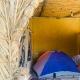 Sunset Tree Camp, Al Manshīyah - 写真 8