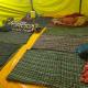 Mahakumb s19 tent, Prayagraj - Fotografie 7
