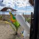 Willie's Beach Resort, San Jose (photo 7)