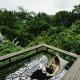 Magical Jungle Resort Ubud - Photo 10