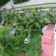 eco trekking lodge, Co Bar & jungle tour's only booking with us !, Bukit Lawang (fotografie 9)