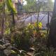 Jagman Homestay and Beds for Group or Individuals, Kota - Foto 5