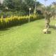 Atico duplex a 150 m de la playa, Denia (fotografie 6)