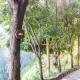 Villa Perpetua, Bandarawela (photo 8)