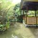 Magpie homestay & jungle trekking especially for guest trekking with us, Bukit Lawang (fotografie 7)