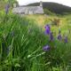 Tyn Y Simdde - Secluded Mountain Stay - Stunning Views of Eryri Dolgellau - Photo 9