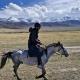 Horse riding&Kyzart Homestay, Dzhangyaryk - Photo 9