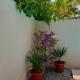 Lovely house with swimming pool, Mostar (fotografie 6)