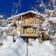 Chalet in 4 Vallées with Ski-In Access Les Collons - Fotografie 1