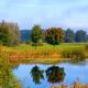 TINY HOUSE FLEESENSEE mit eigenem Garten und nur wenige Meter vom Seeufer, Göhren-Lebbin - Foto 8