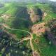 Vagamon forest canopy, Vagamon - Fotografie 4