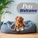 Pet-Friendly Haven in San Antonio, San Antonio - Fotografie 8