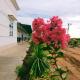 Homestay Vạn Hưng, Vạn Ninh (foto 3)