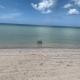 Playa bonita, San Crisanto (fotografie 3)