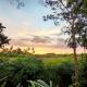 Ubud 3-bedrooms with sunset view - Photo 2