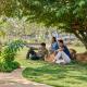 SaffronStays Soulitude, Mahirāvani - 照片 9