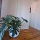 Barnard Bungalow, Bendigo (photo 9)