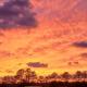 Blanchard Farm, Diggs (fotografie 7)