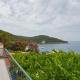 Holiday apartment in Saplunara with sea view, balcony, air conditioning, WiFi 5197-2, Saplunara - Fotografie 5