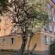 Apartament LONDYN, Białystok (zdjęcie 9)