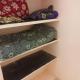 OM Arunachalam Home Stay, Tiruvannamalai - Φωτογραφία 4